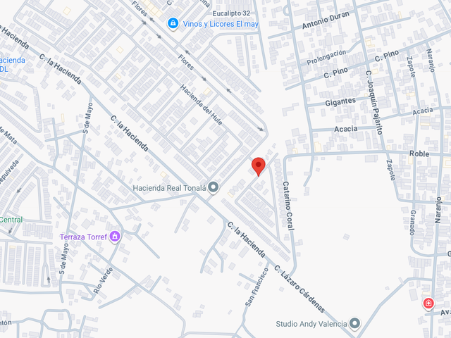 place photo 13