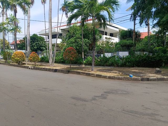 place photo 20