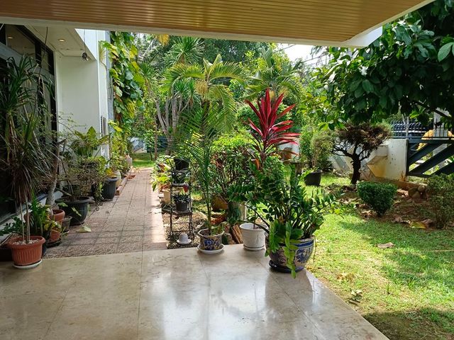 place photo 22