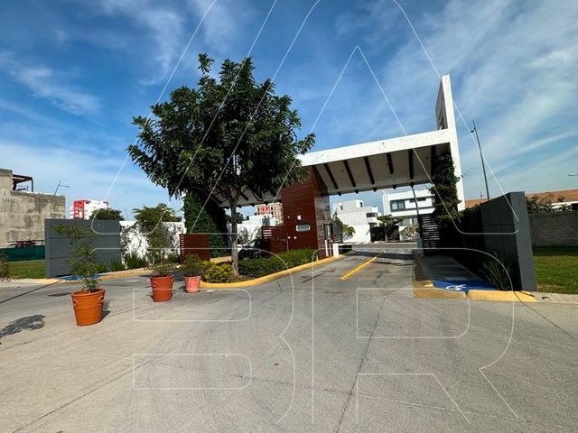 place photo 34