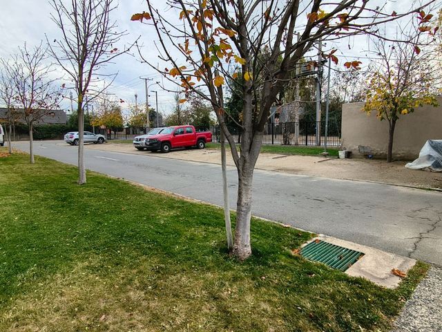 place photo 18