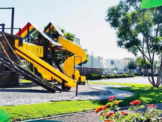 place photo 30