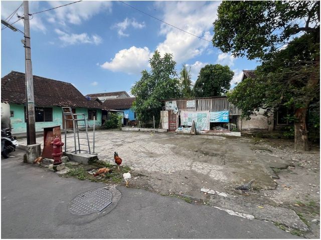 place photo 5