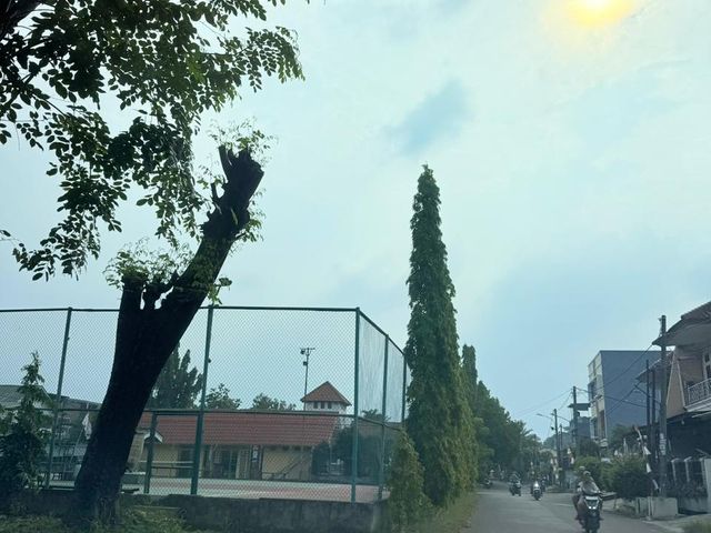 place photo 4