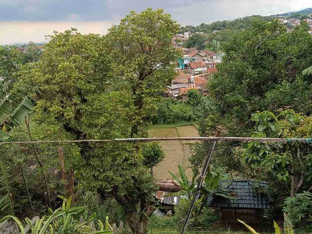 place photo 30