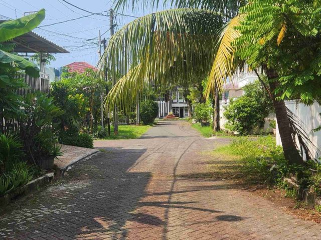 place photo 10