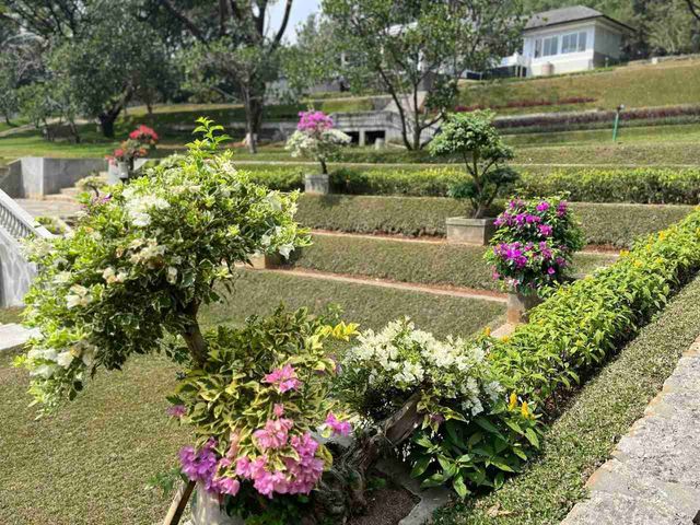 place photo 29