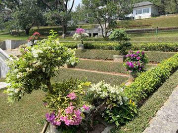 place photo 29
