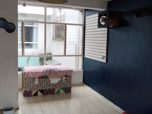 place photo 21