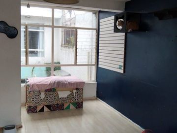 place photo 21