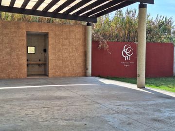 place photo 29