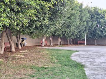 place photo 30