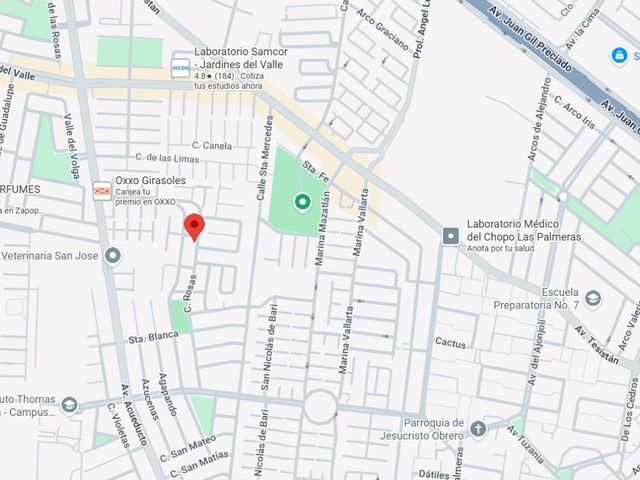 place photo 7