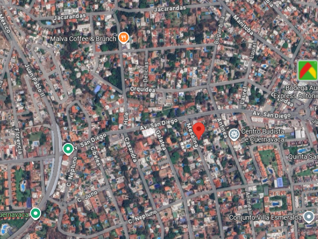 place photo 10