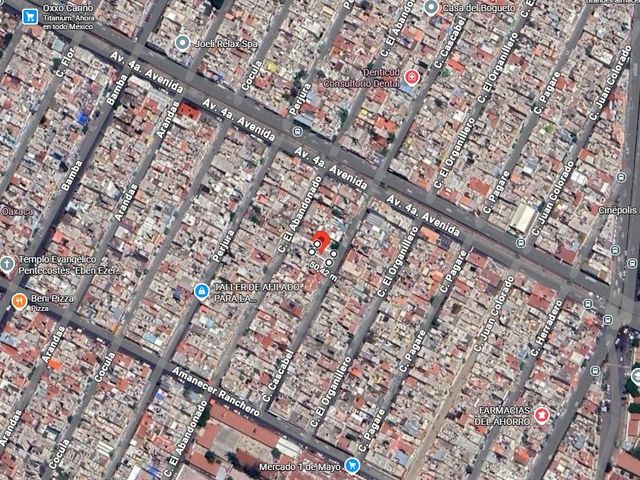 place photo 11