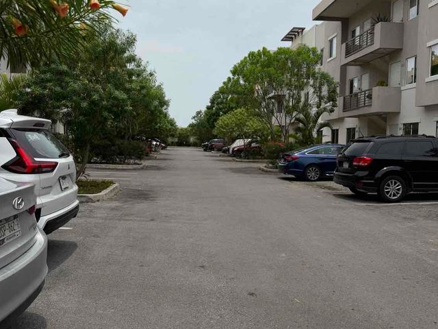 place photo 33