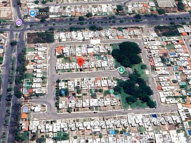 place photo 12