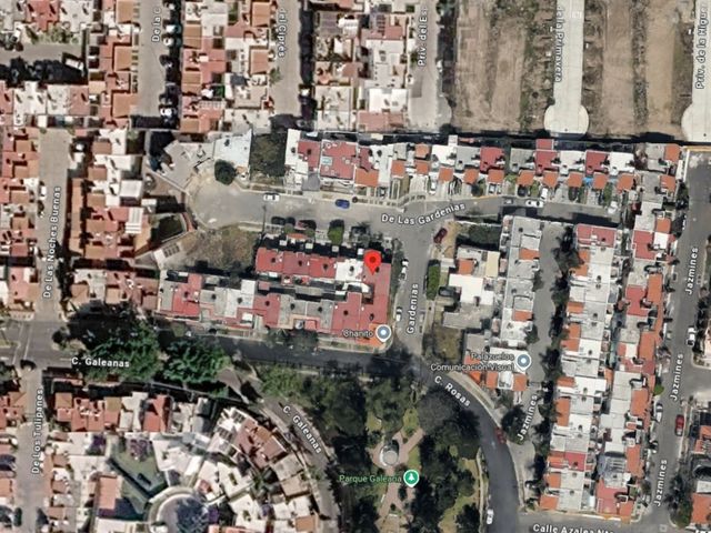 place photo 37