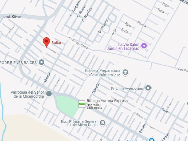 place photo 16