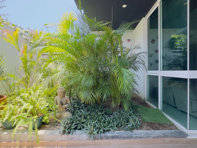 place photo 49