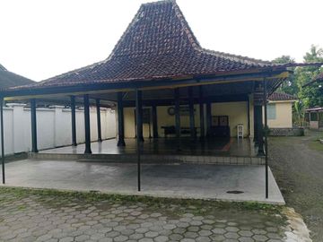 place photo 3