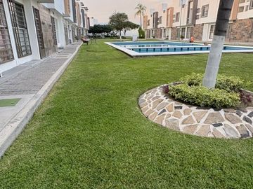 place photo 25