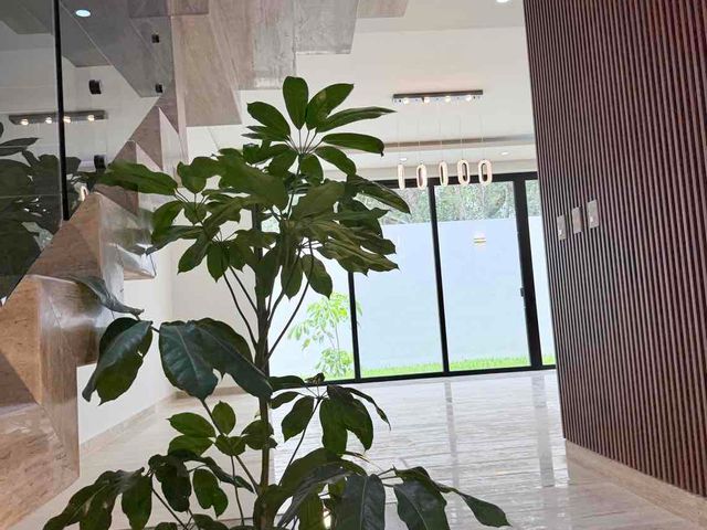 place photo 47