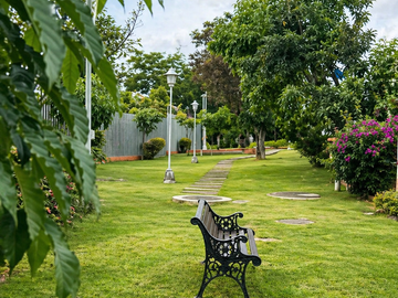 place photo 17