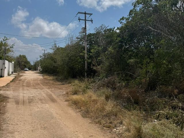 place photo 2