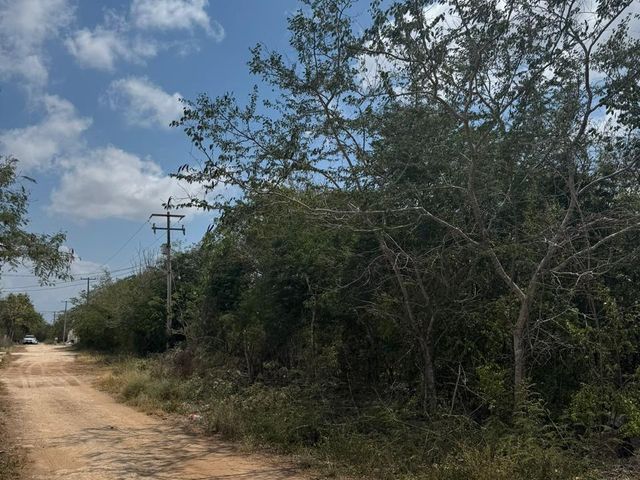 place photo 5