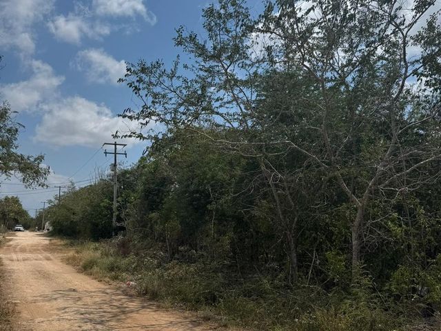 place photo 4
