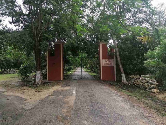 place photo 9