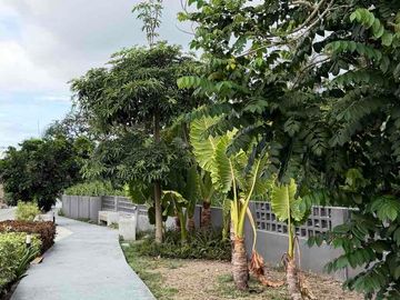 place photo 32