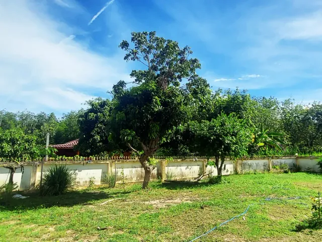 place photo 45