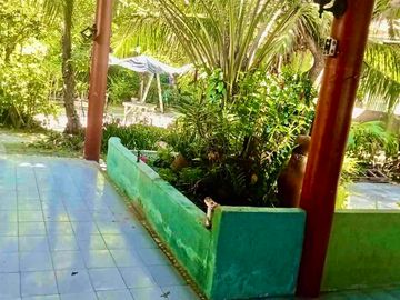 place photo 11