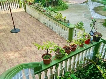 place photo 49