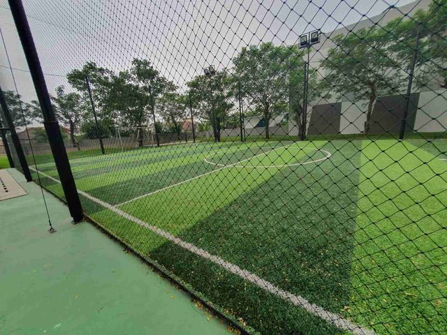place photo 14