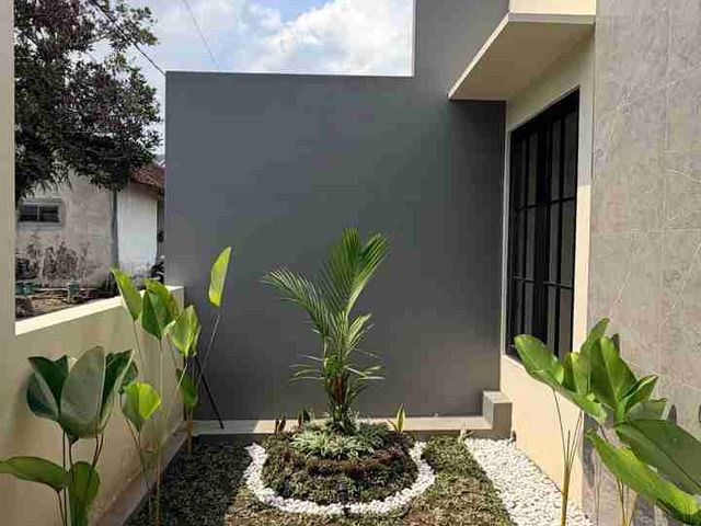 place photo 30