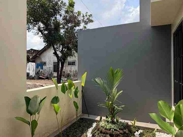 place photo 31
