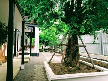 place photo 39