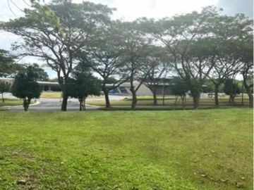 Luscara Nuvalie Prime Lot for sale