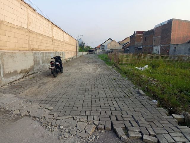 place photo 5