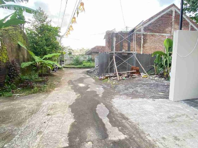 place photo 12
