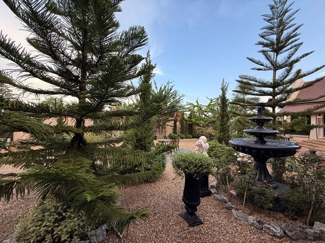 place photo 39