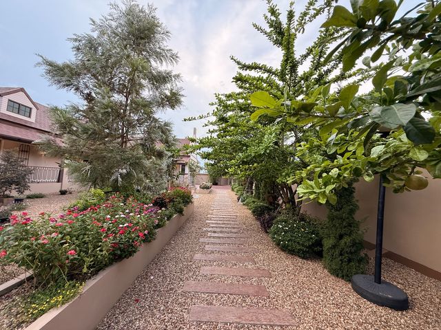 place photo 47