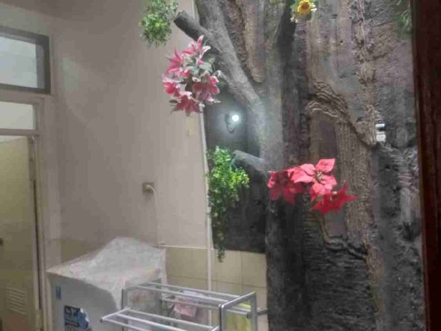 place photo 9