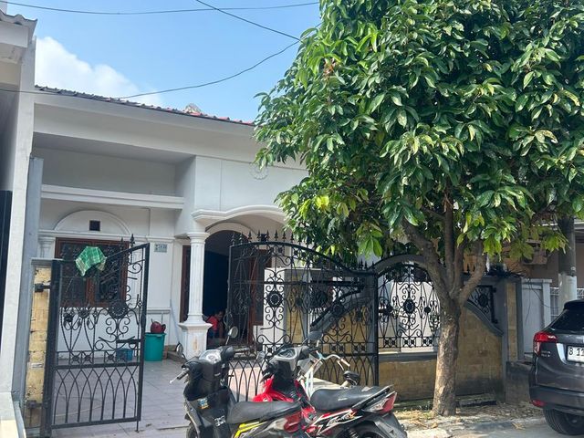place photo 21