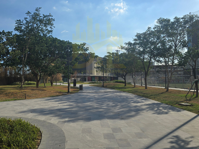 place photo 23