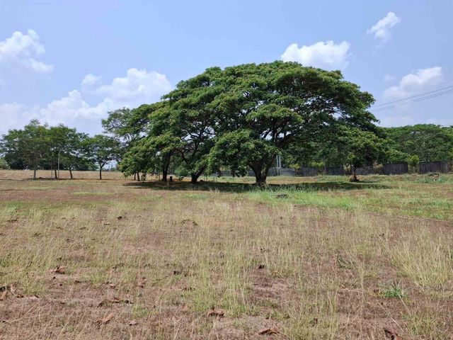 New in the Market: Prime 636-sqm Lot for Sale in Elaro, Nuvali by Ayala Land Premier