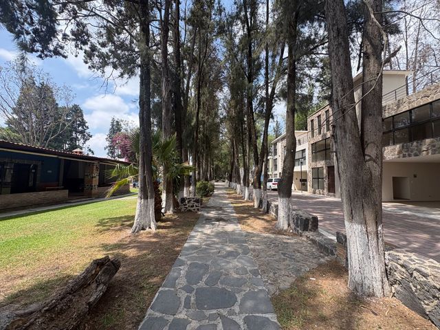 place photo 35